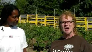 Introducing: The Experimental Farm Network