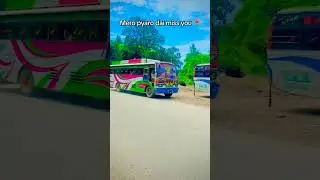#bestbus #bus #bustours