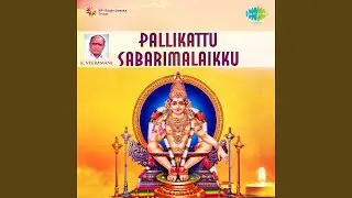 Bhagavaan Saranam