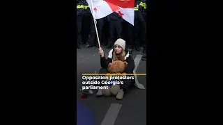 Opposition protesters rally outside Georgia's parliament | AJ #shorts