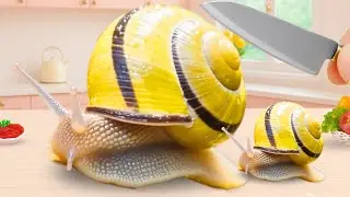 How To CATCH and COOK Miniature Thai Snail Curry - ASMR Mini Cooking Real Seafood | Mini Kitchen