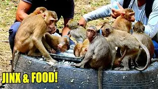 AMAZINGLY! JINX JOIN AND SOVANNA TEAM AND ENJOYED FOOD WITH THEM SO MUCH.