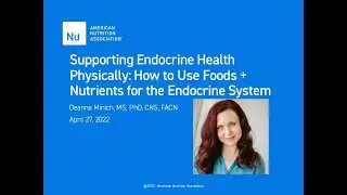 Supporting Endocrine Health Physically: How to Use Foods + Nutrients for the Endocrine System