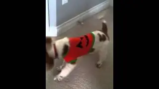 Henry vs. door stop