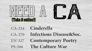 Online Summer Courses Advertisement