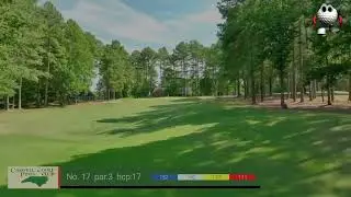 Caswell Pines Hole 17 &ndash; A Risky Par 3 with Water Challenge