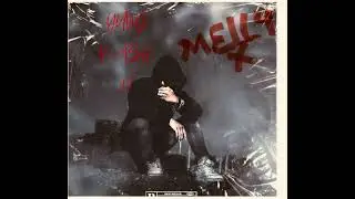4LETTER WORD - MELLYX & YUNG KASH 17 (official audio) prod by @1942ent 