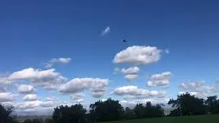 First flite on a F T mini Scout
