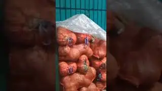 Mugre, inseguridad y abandono en el Mercado Central (1)