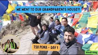 Took him to my Grandparent's home! Tso Pema Day - 1 #tibetanvlogger #himachal #india
