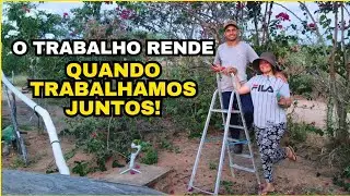 A VIDA NA ROÇA COM UM COMPANHEIRO FAZ TODA DIFERENÇA! Transfomando a entrada da nossa Chácara/Sítio 