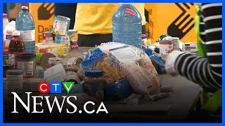 Daily Bread Food Bank to cut off Scarborough food bank after financial impropriety allegations