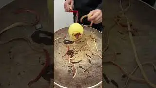 How to cut an Apple in spring shape
