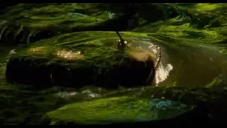 Berberian Sound Studio &mdash;&nbsp;Madness Scene