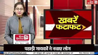 भी.षण सड़क हा.दसा- 5 लोगों की मौ.त, 1 पुलिस कर्मी भी शामिल