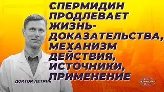 Спермидин продлевает жизнь. Доказательства, механизм действия, источники, применение.