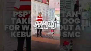 New paw-ty member? PSP&rsquo;s Tony Tan takes robot dog for Kebun Baru SMC walkabout | GE2025