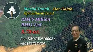 Vacant Agricultural land for Sale @RM4.5 Million at Mukim Masjid Tanah, Alor Gajah, Melaka.
