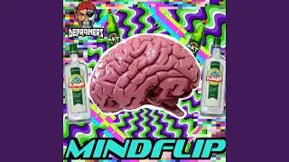 Mindflip