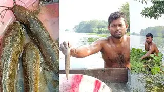 I am catching catfish and snakehead fish with my bare hands in cold water#viral#fishing