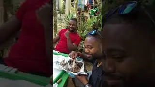 (sosua) MOSHA'S REGGAE LOUNGE AUTHENTIC JAMAICAN RESTAURANT DOMINICAN REPUBLIC