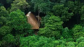 Koroi Forest Camp | Entara