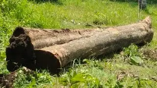 Trik ampuh memutar‼️ balik kayu besar panjang dan jumbo@Masterjoglo Channel