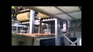 Codificador Domino A400 Egg Coder 2
