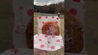 【グルメ】不二家のドーナ