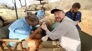 I Saved 1,000 Animals From Dying148M 