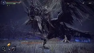 i can solo 3 player solo Nameless King no hit (Elden Ring Nightreign)