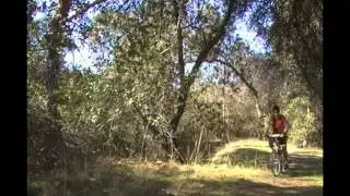Foxcrest