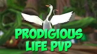 Wizard101: Prodigious Life PvP | Untouchable (#25)
