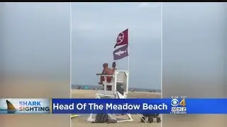 Truro Beach Where Swimmer Was Bitten Remains Closed Due To 'Continued Shark Activity'