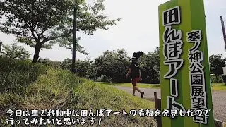 【秋田県八郎潟町】田んぼアート『塞ノ神公園展望台』