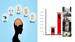 Overview of Evolution chart of Yoga/Sankhya - 25 Aug 24