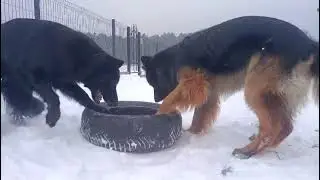 -14 na dworze i awantura o oponę ❄️🥶🤣