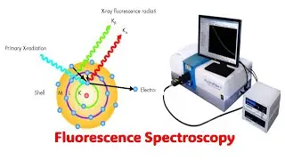 Fluorescence Spectroscopy l Explained with Animation