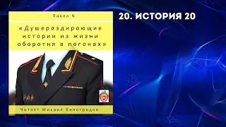 Аудиокнига "ДИ". История 20