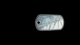 Battlefield 3, All Right Dog Tags 1/2