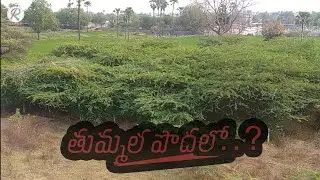 Thummala Podhalo Promo | Mini Film | NATARAJ | KOUSHIK | Latest Part | RTV N&E
