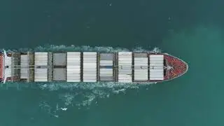Auction Export
