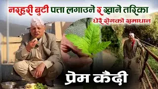 नरहरी बुटी पत्ता लगाउने र खाने तरिका  Narahari Buti Prem Kaidi