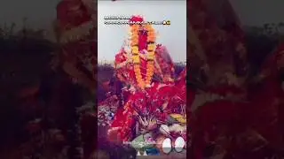 Nuakhai | Agricultural Festival | Sukma| Bastar| #bastar #nuakhaijuhar