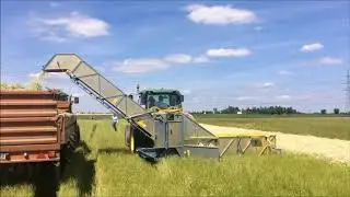 Chamomile harvester NB 2006 P mode - HR 2017