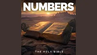 Numbers Chapter Six