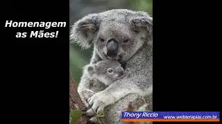 UMA HOMENAGEM AS M&Atilde;ES ! THONY RICCIO-webterapias