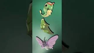 Pok&eacute;mon Evolutions That Make ZERO Sense 🤯