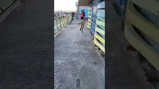 #the Lucky Adamski walking and jumping on the seaside😍😍😍