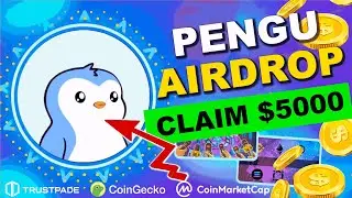 Pudgy Penguins (PENGU) AIRDROP $5000 | Top NFT Brand Expands to Tokens 🐧💰
